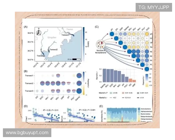 R语言实战直播课：从入门到精通的数据分析指南